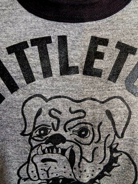True Vintage T-shirt Large SIngle Stitch Littleton Colorado Bulldog Rayon Blend